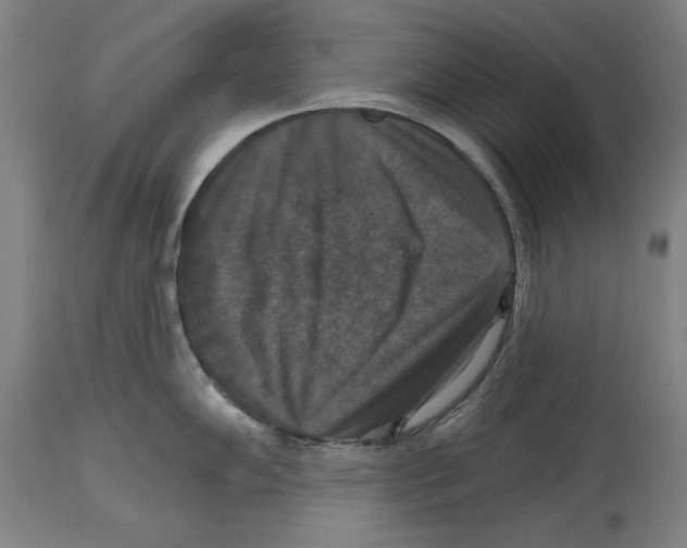 X0000114581102200911161304