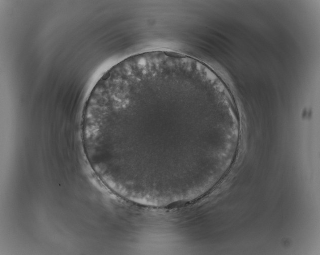 X0000114581104200911161304