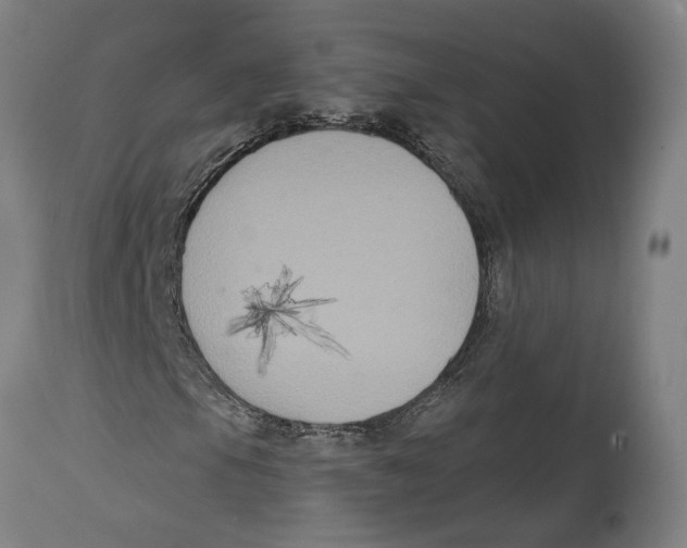 X0000114581105200911161303