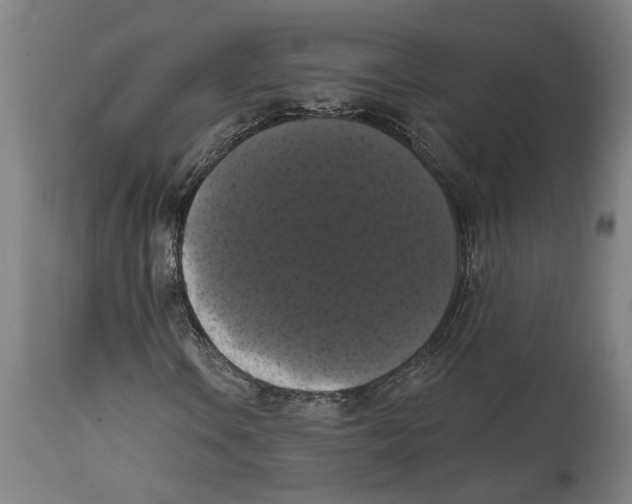 X0000114581106200911161303