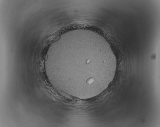 X0000114581109200911161303