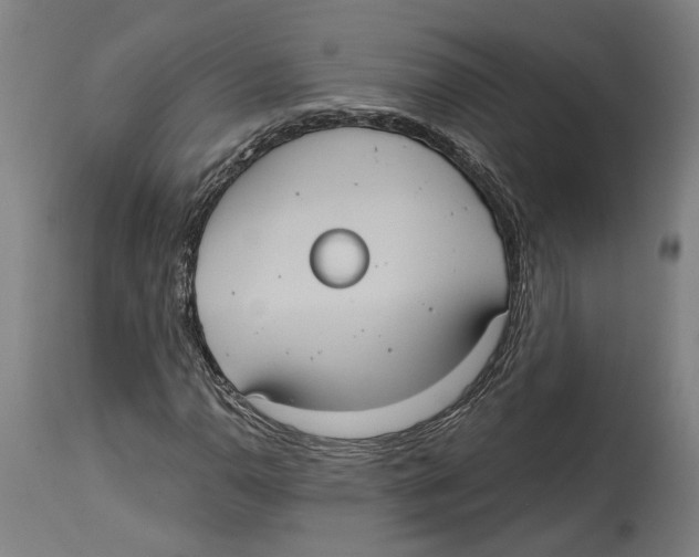 X0000114581110200911161303