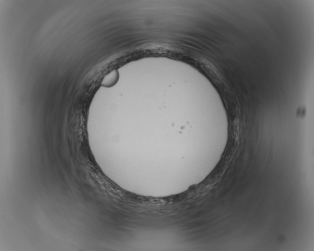 X0000114581111200911161303