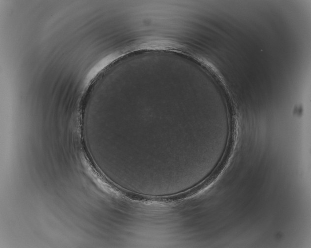 X0000114581114200911161303