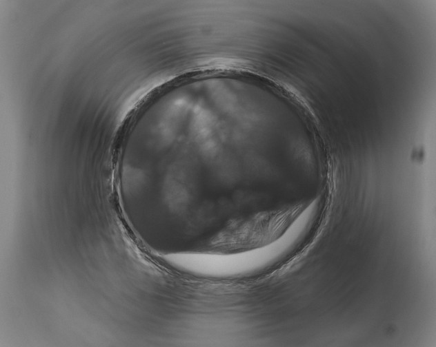 X0000114581117200911161303