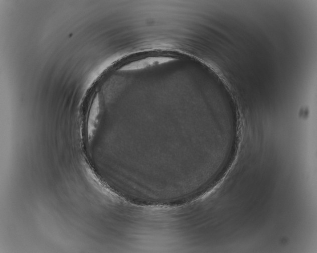 X0000114581118200911161303