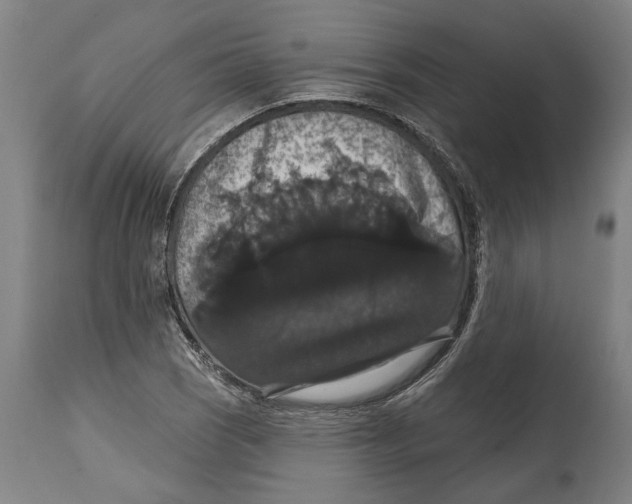 X0000114581121200911161303