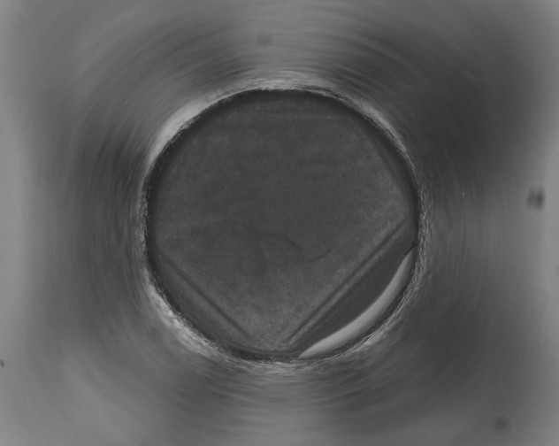 X0000114581122200911161303