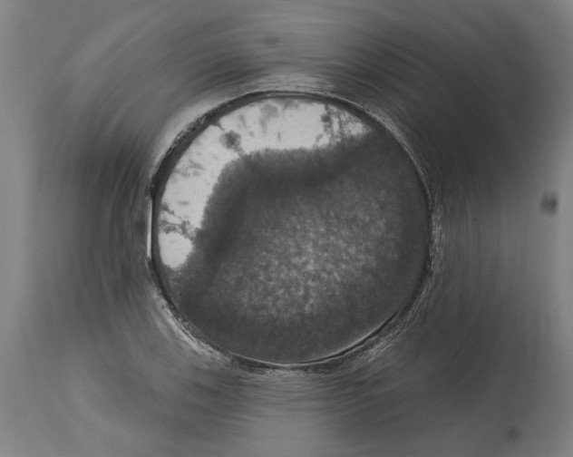 X0000114581123200911161303