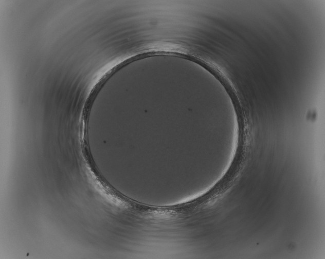 X0000114581125200911161303