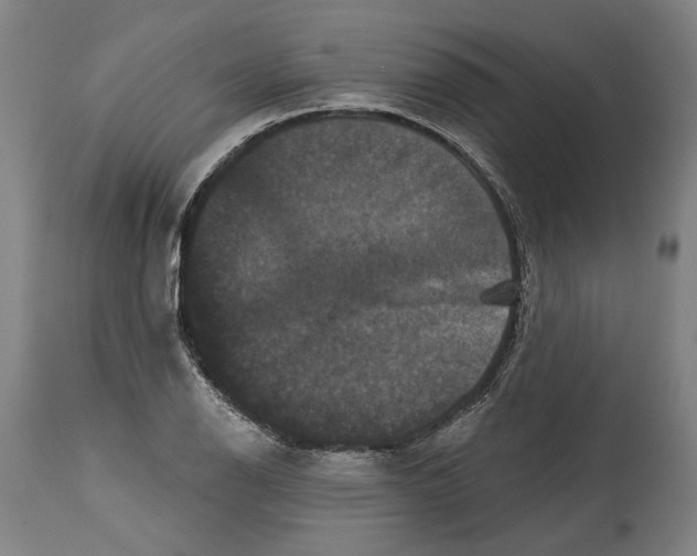 X0000114581126200911161303