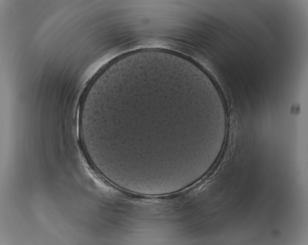 X0000114581127200911161303