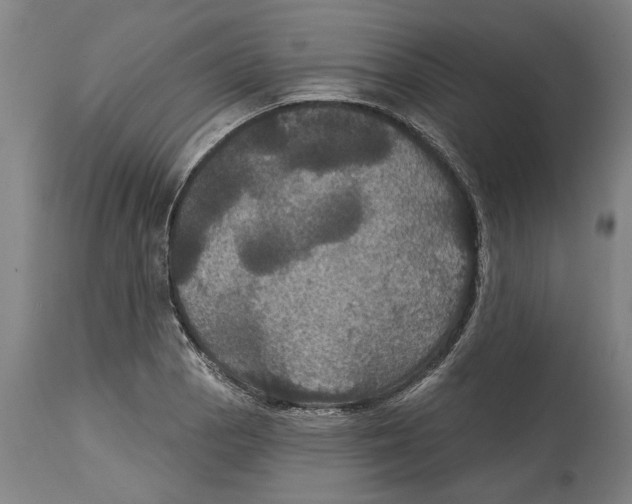 X0000114581129200911161303