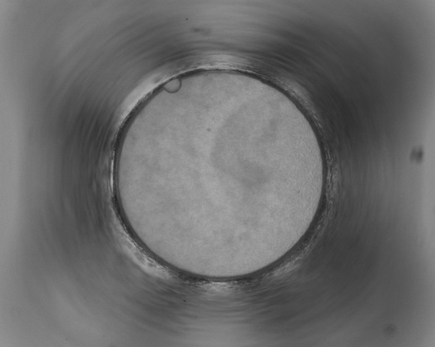 X0000114581130200911161303