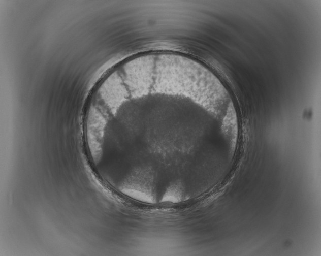 X0000114581133200911161303