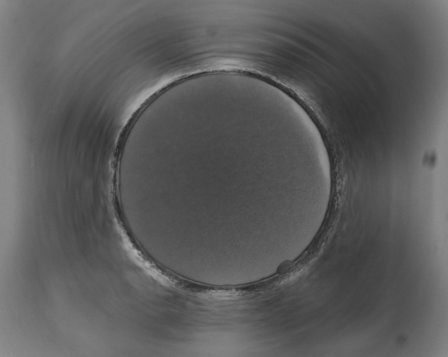 X0000114581134200911161303