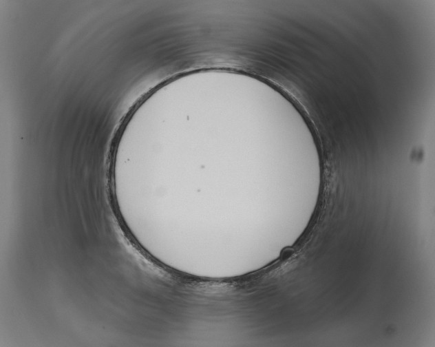 X0000114581135200911161303