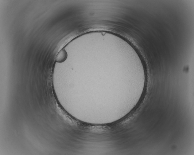 X0000114581137200911161303