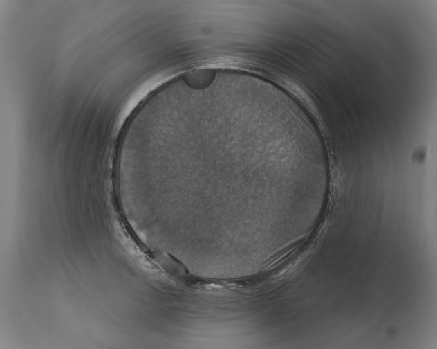 X0000114581138200911161303