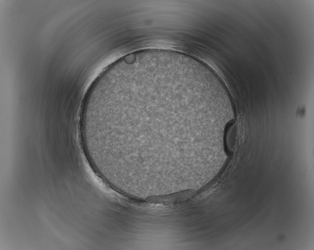 X0000114581139200911161303