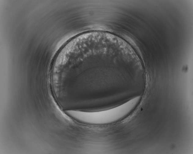 X0000114581141200911161303