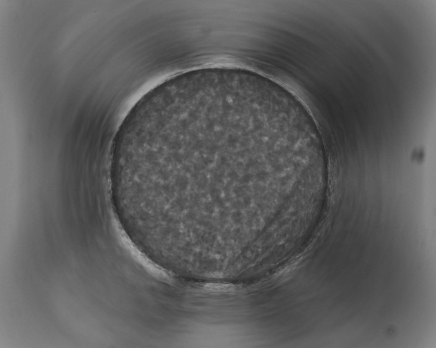 X0000114581142200911161303