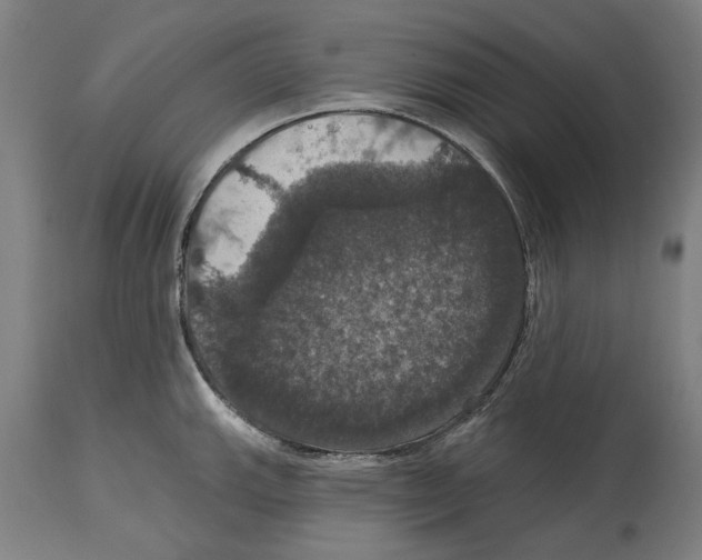 X0000114581143200911161303