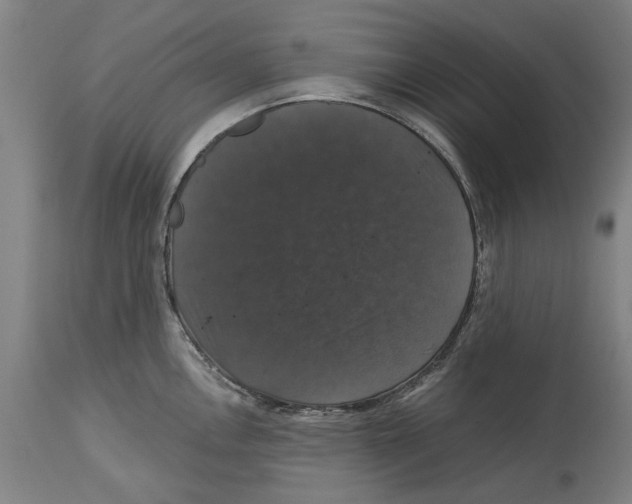 X0000114581146200911161304