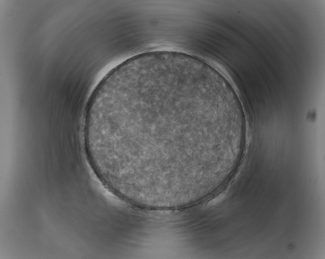 X0000114581149200911161304