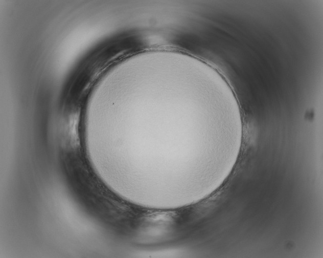 X0000114581150200911161304