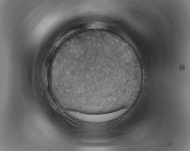 X0000114581151200911161304