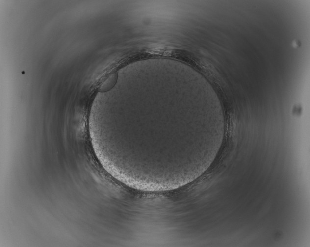 X0000114581154200911161303