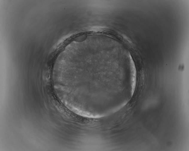 X0000114581158200911161303