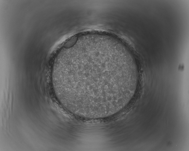 X0000114581159200911161303