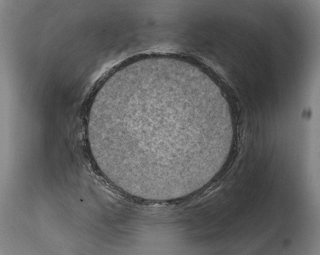 X0000114581160200911161303