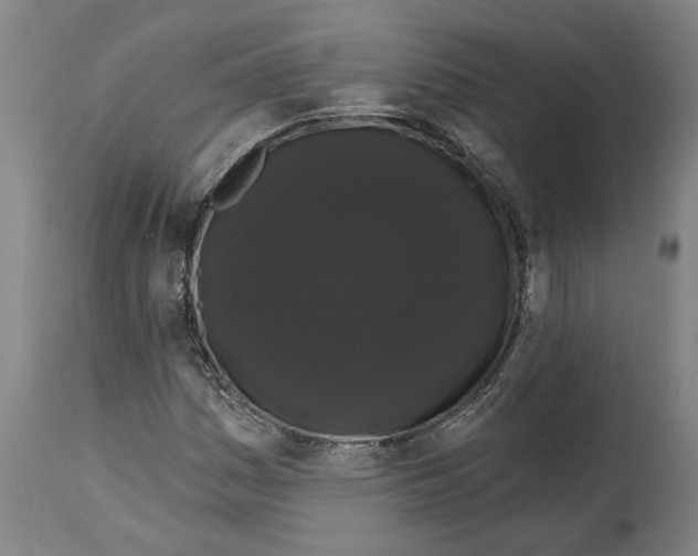 X0000114581161200911161303