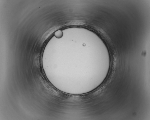 X0000114581162200911161303