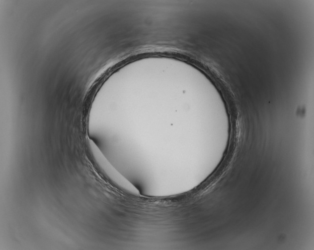 X0000114581165200911161303