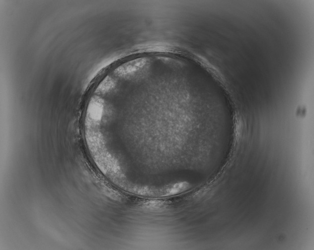 X0000114581166200911161303