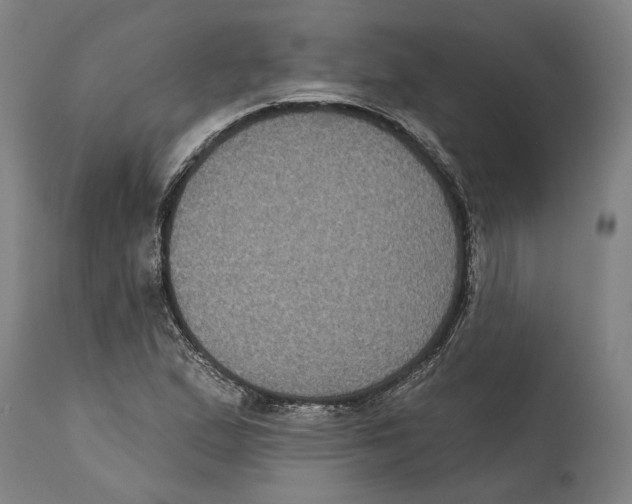 X0000114581167200911161303