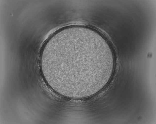 X0000114581168200911161303