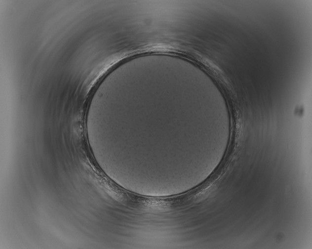 X0000114581170200911161303