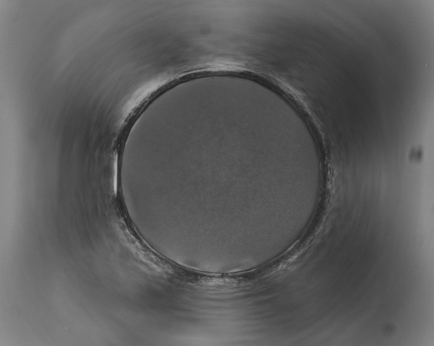 X0000114581171200911161303