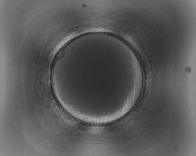 X0000114581173200911161303