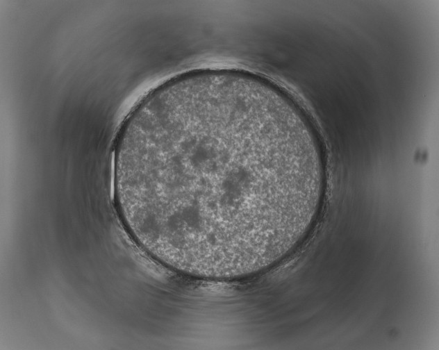 X0000114581175200911161303