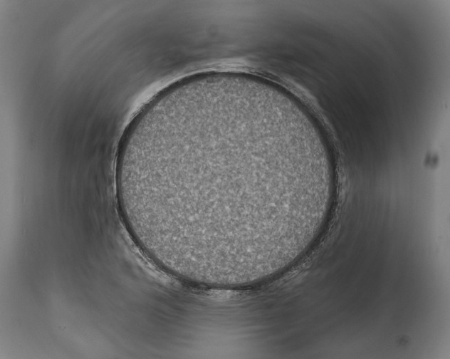 X0000114581176200911161303