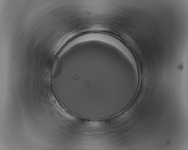 X0000114581177200911161303