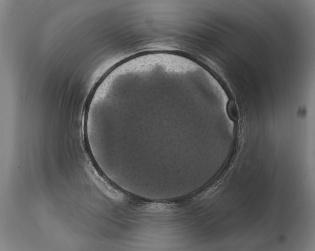 X0000114581179200911161303