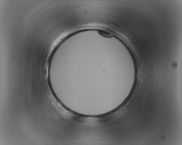 X0000114581180200911161303