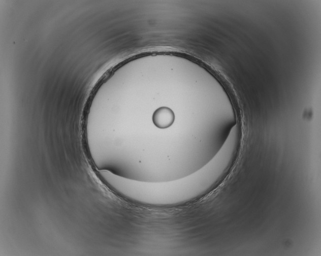 X0000114581181200911161303